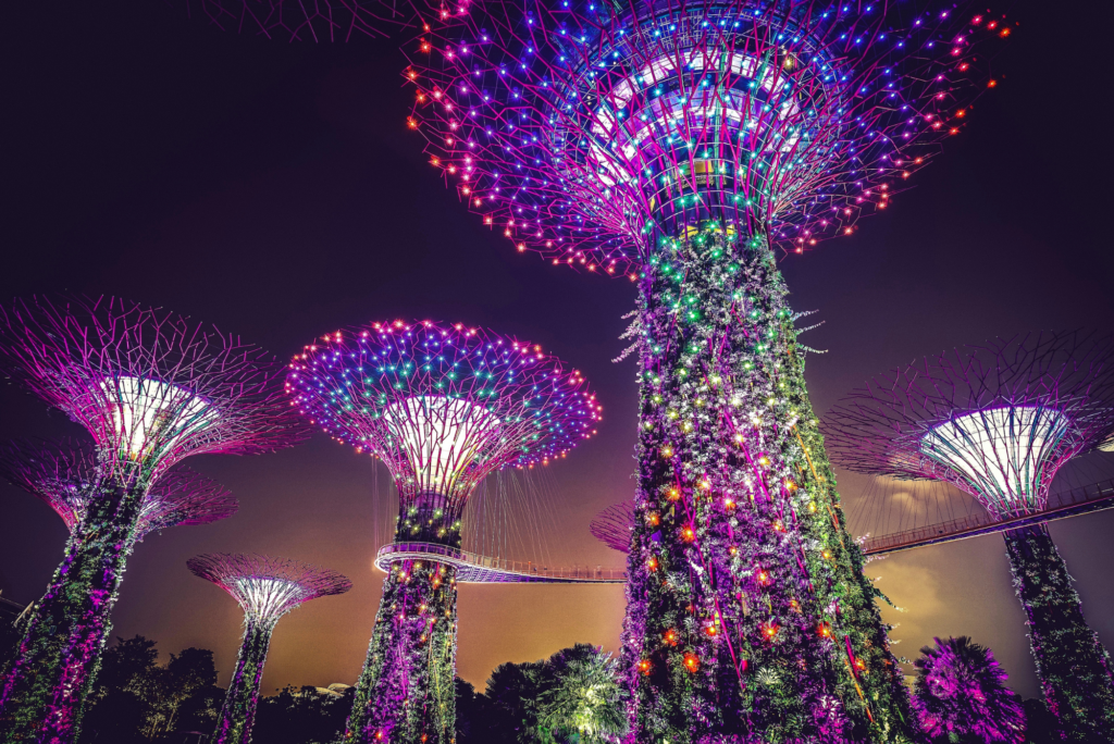 Discover the magic of Singapore's skyline at Gardens by the Bay. A must-visit as part of the amazing things to do in this vibrant city.